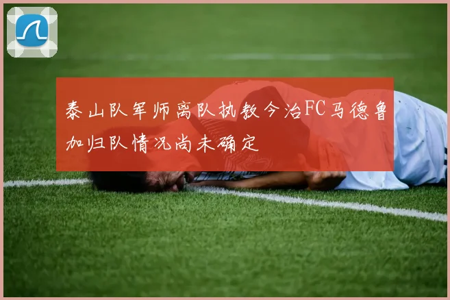 泰山队军师离队执教今治FC马德鲁加归队情况尚未确定